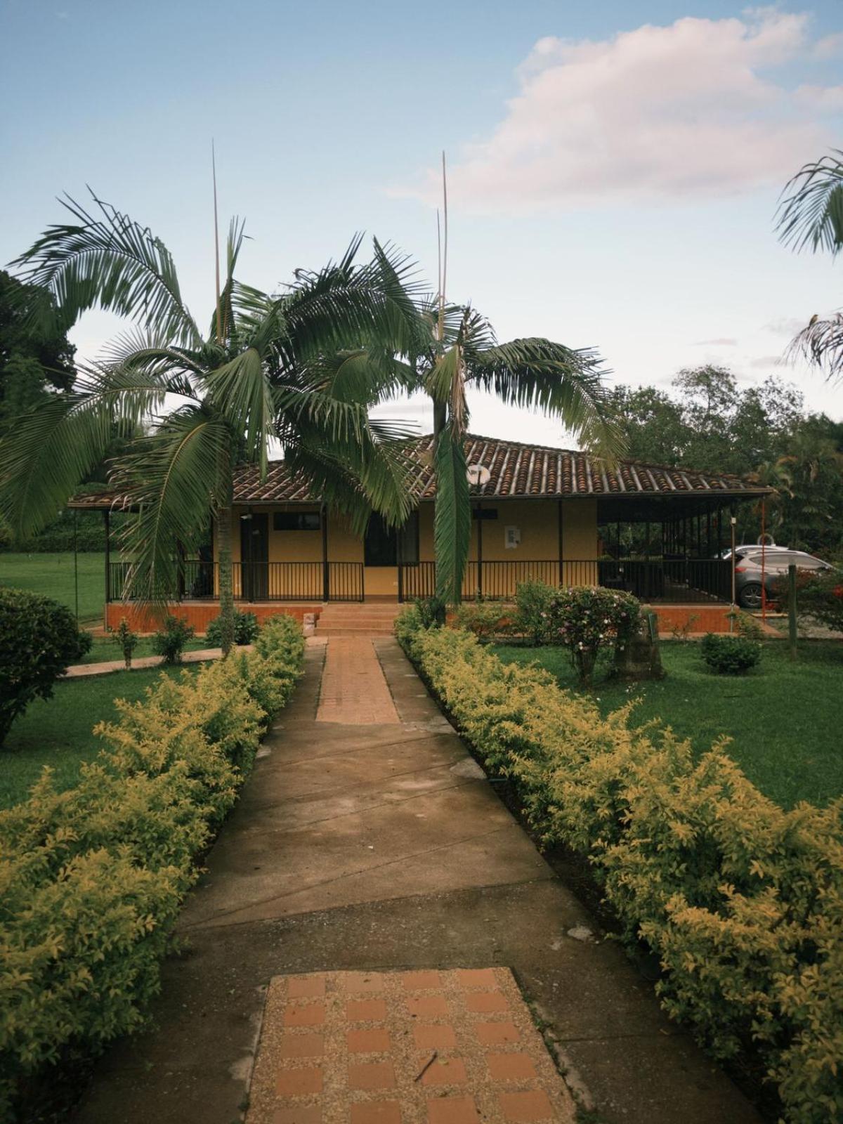 Thiago Lodge
